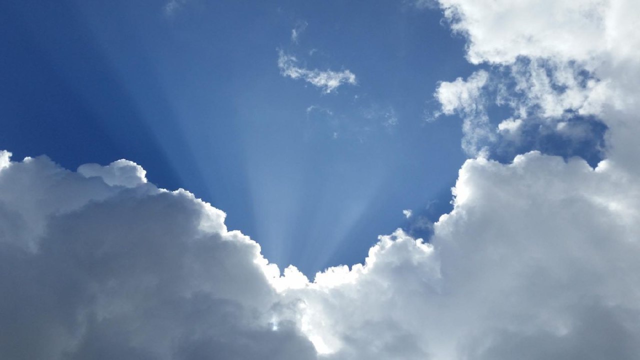 我们生命中唯一能除去的罪-恩典之源