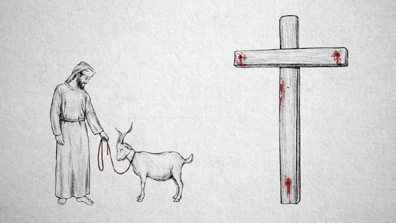 课程教学-恩典之源